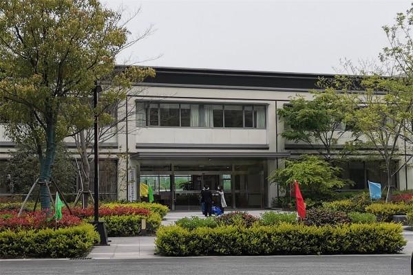 杨柳君1